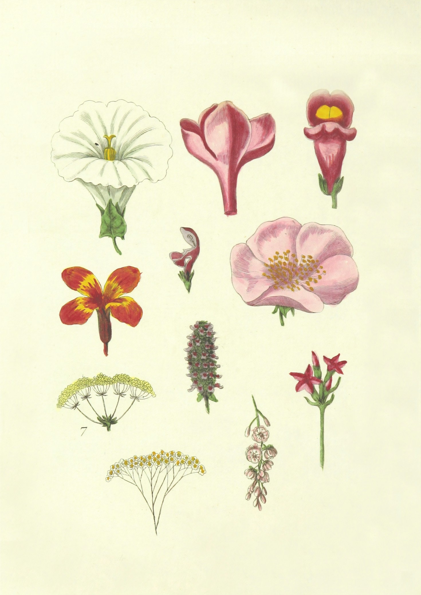 The Magic of Colors in Young Readers’ Books